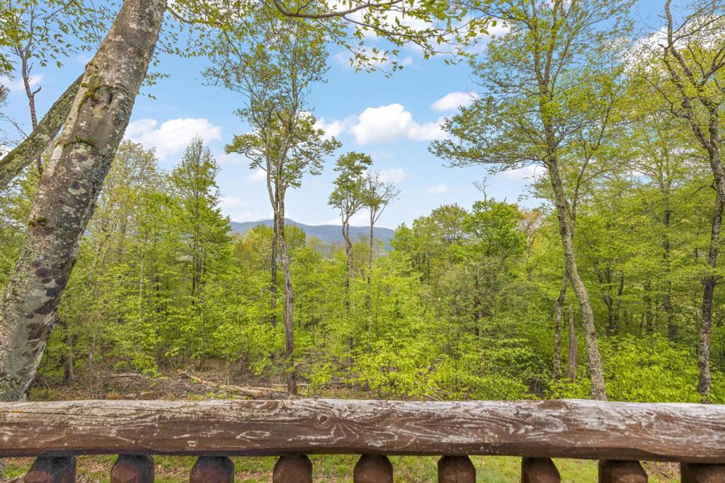 Lucky Bear Cabin Banner Elk Luaran gambar